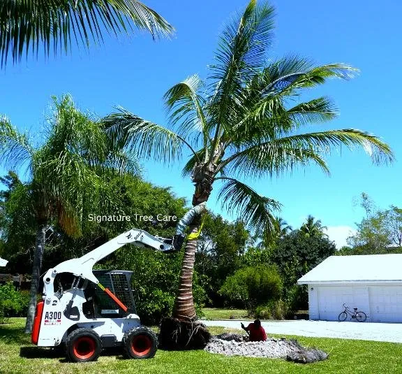 Affordable landscape design in Naples, FL - Signature Tree Care