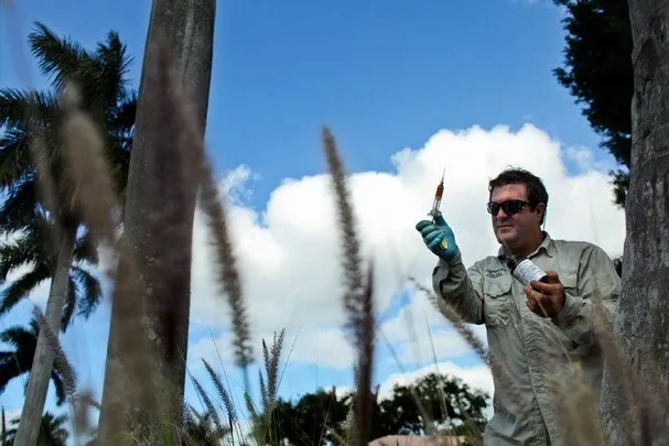 Professional landscape design experts serving Naples, FL - Signature Tree Care