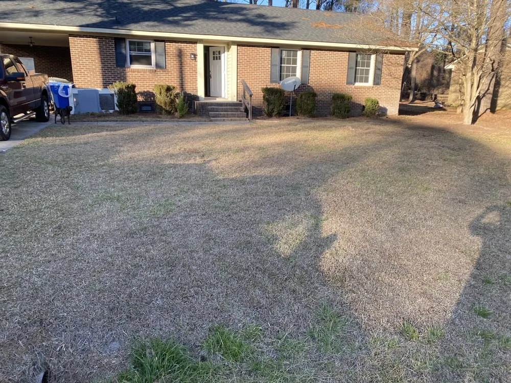 Top-rated yard cleanup service for homes in Wilson, NC by Signed To The Grind