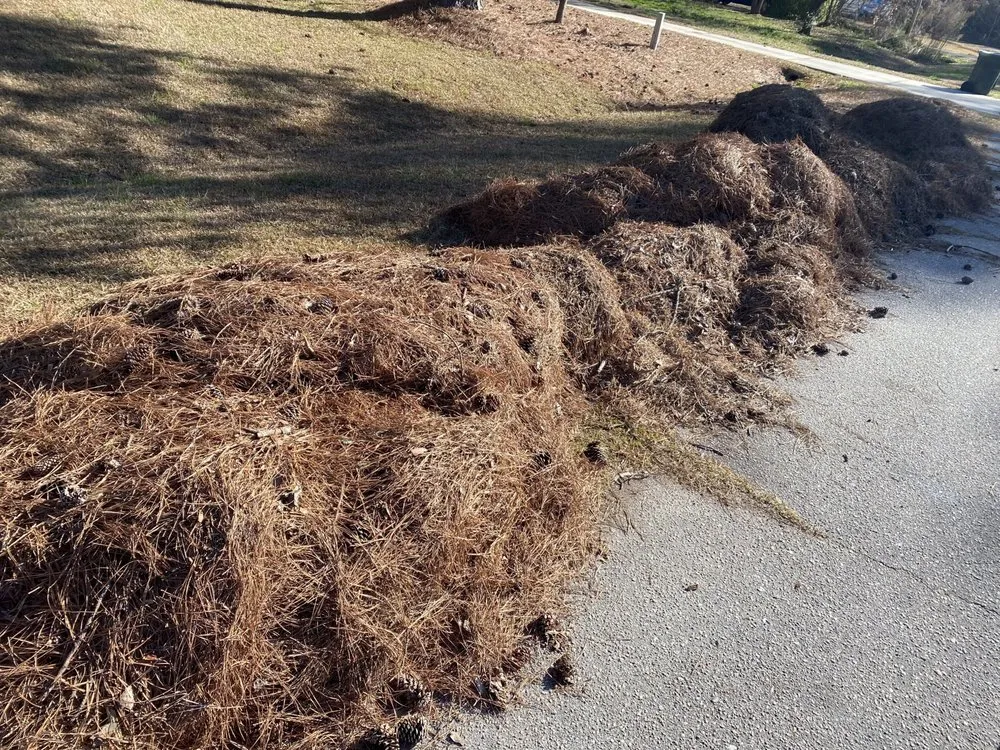 Top-rated residential landscaping experts serving Wilson, NC - Signed To The Grind