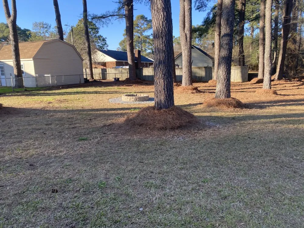 Professional outdoor landscaping in Wilson, NC - Signed To The Grind