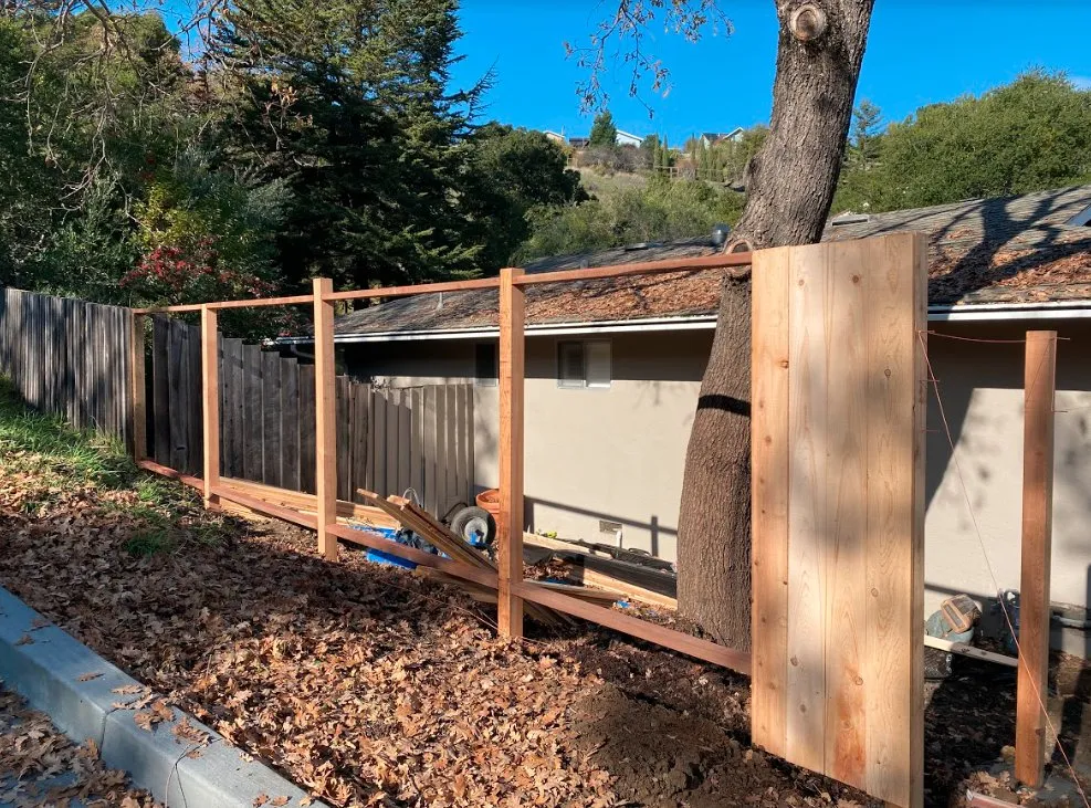 Trusted yard maintenance in San Rafael, CA by Signor Landscape