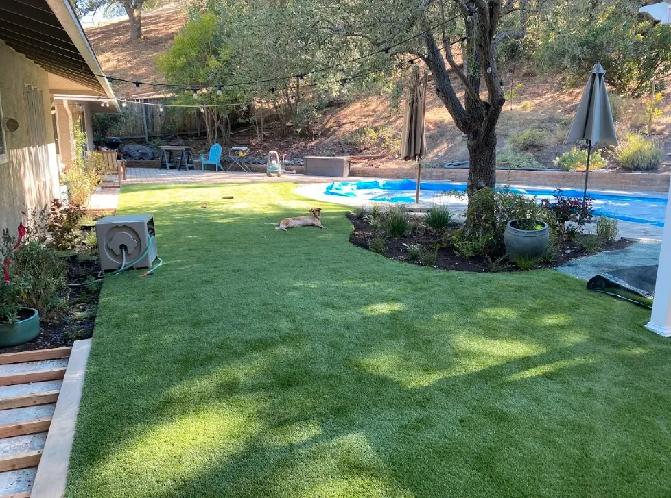 Top-rated landscape installation for beautiful yards in San Rafael, CA by Signor Landscape