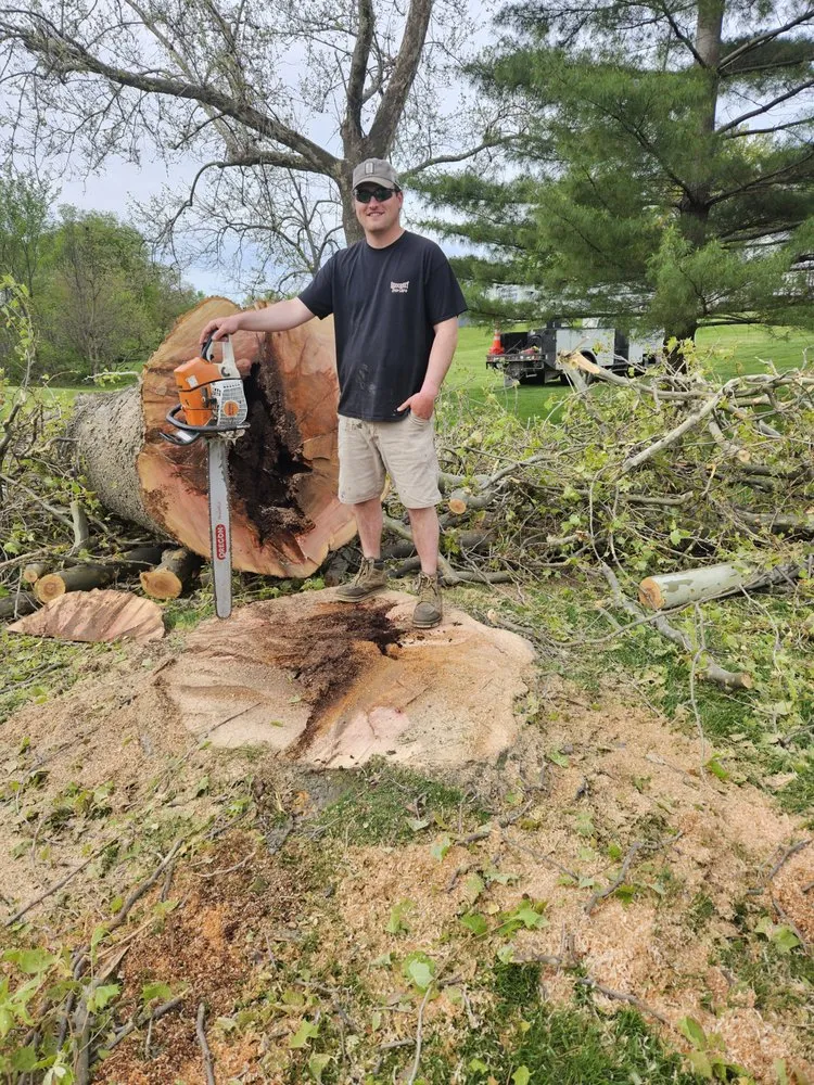 Local lawn care service for residential properties in Sigourney, IA by Sigourney Treecare