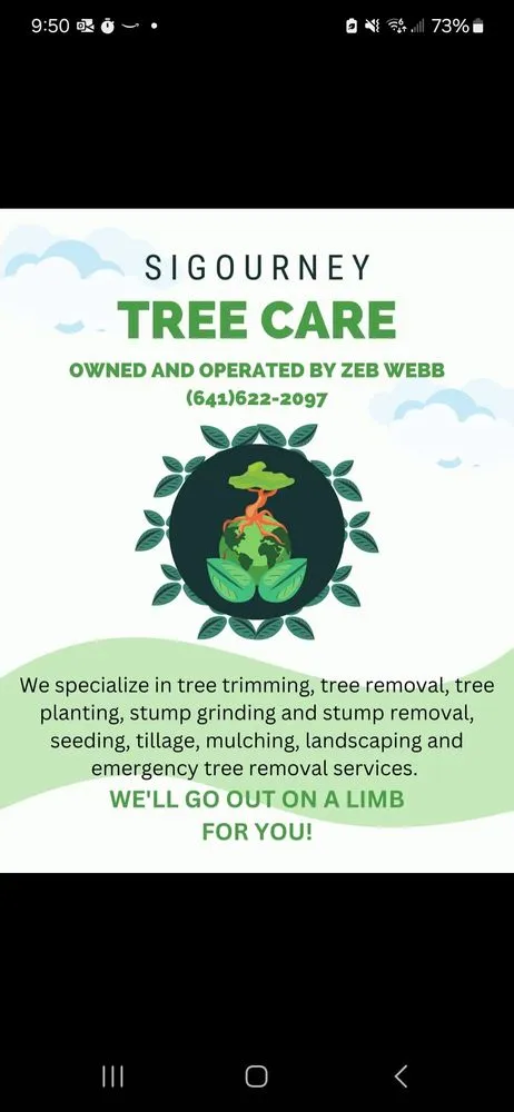 Expert yard cleanup service for homes across Sigourney, IA - Sigourney Treecare