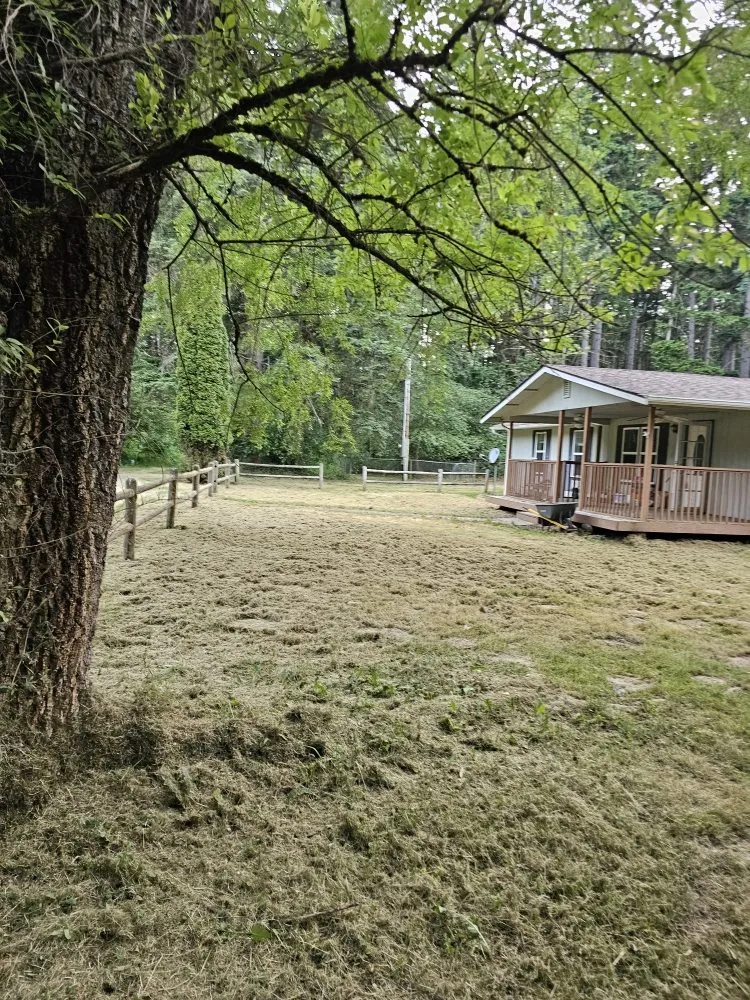 Custom landscape design for beautiful yards across Clarkville, TN - Sikes Outdoor Services