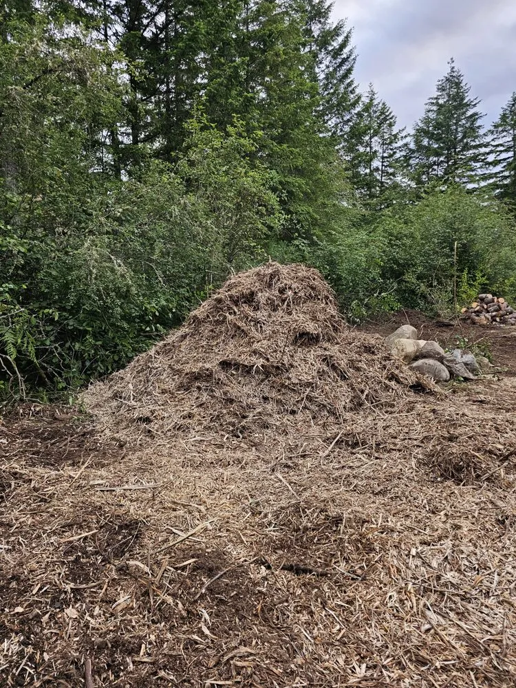 Local yard cleanup service for outdoor upgrades across Clarkville, TN - Sikes Outdoor Services