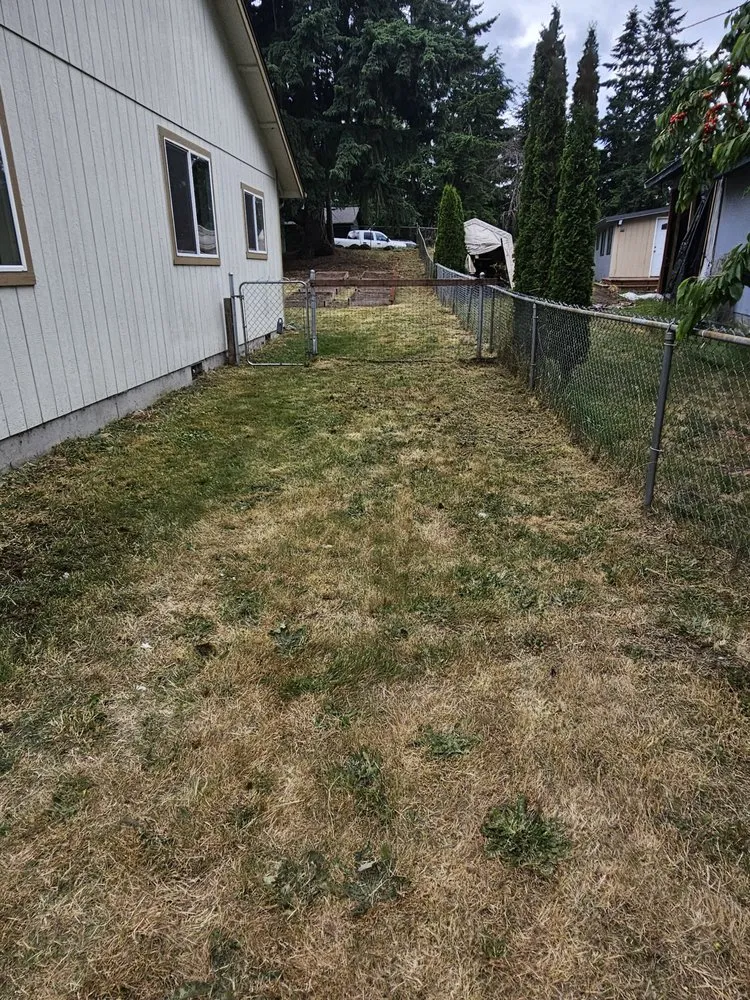 Reliable lawn care service in Clarkville, TN - Sikes Outdoor Services