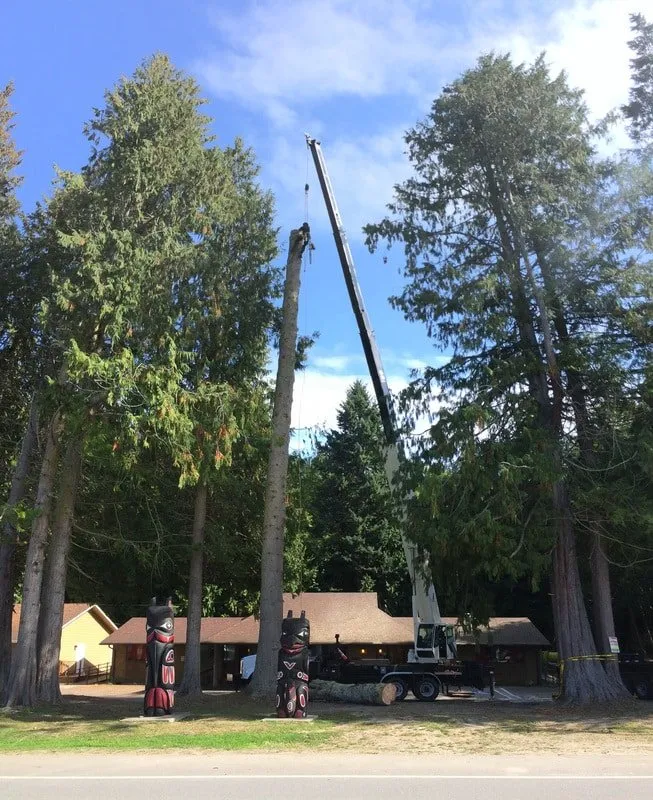 Local residential landscaping in Seattle, WA by Siktum Tree Service