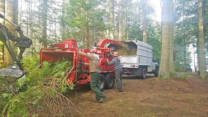 Top-rated landscaping services for beautiful yards in Seattle, WA by Siktum Tree Service