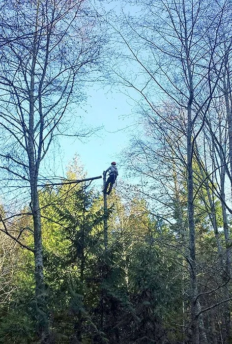 Expert lawn mowing service for homes in Seattle, WA by Siktum Tree Service