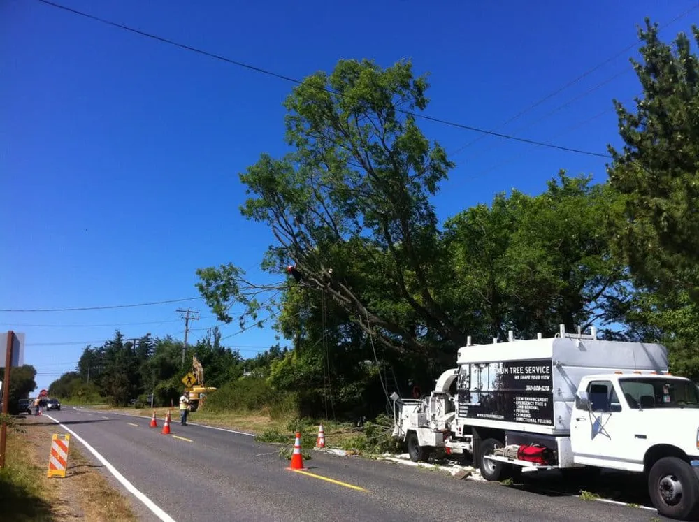 Local outdoor landscaping for year-round maintenance in Seattle, WA by Siktum Tree Service