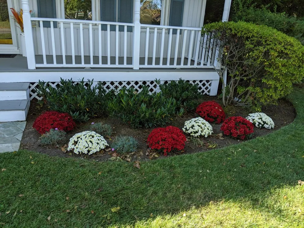 Expert lawn care service experts serving Patchogue, NY - Silas Heights