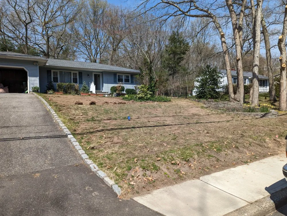 Reliable yard maintenance in Patchogue, NY - Silas Heights