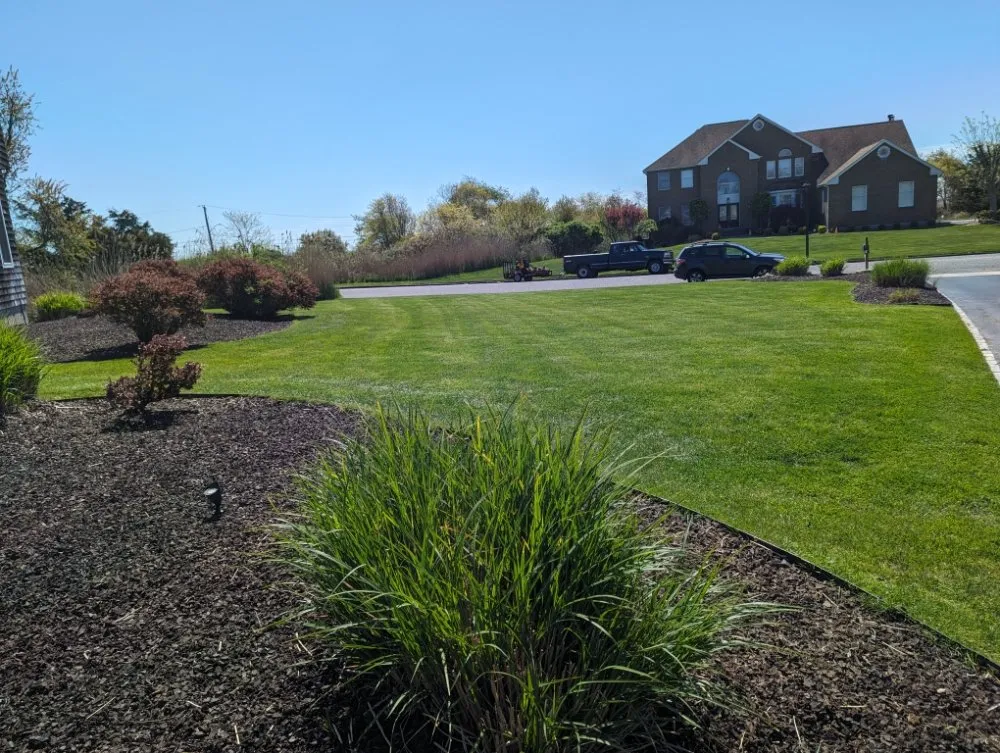 Professional yard maintenance for year-round maintenance across Patchogue, NY - Silas Heights