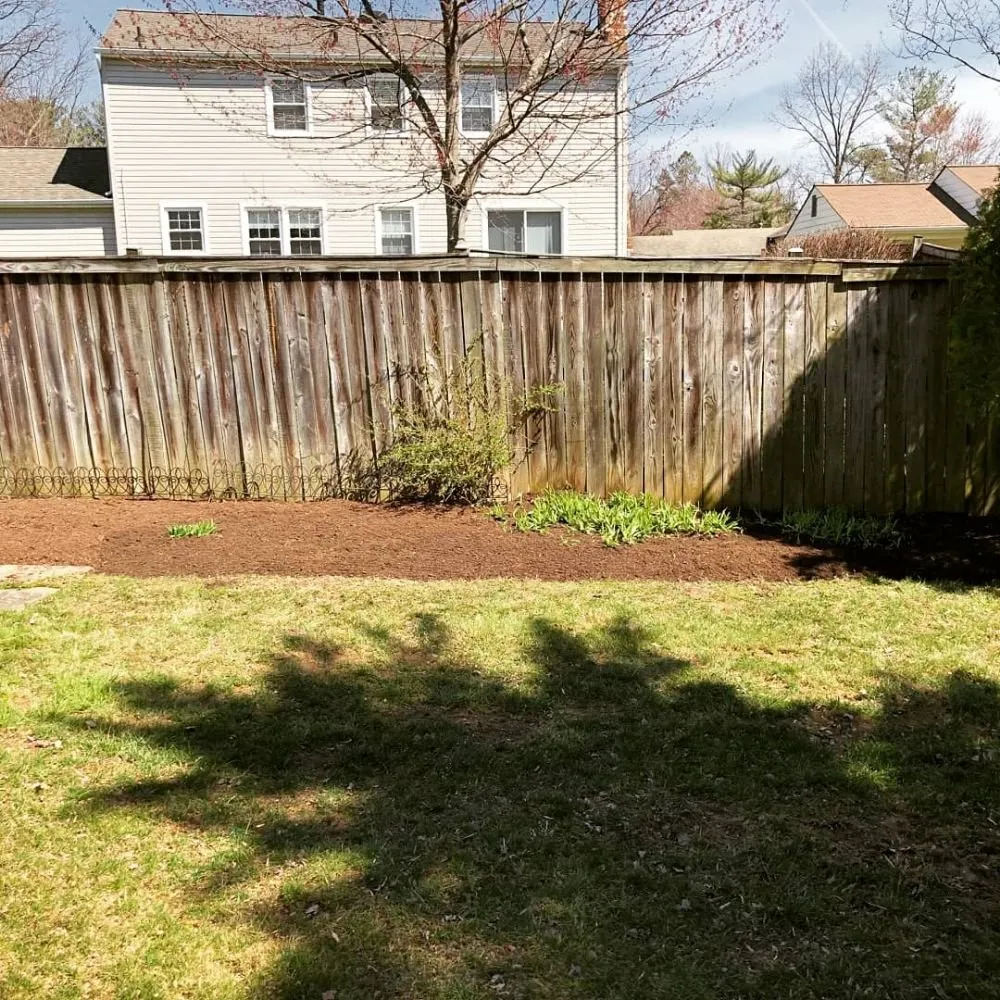Expert yard cleanup service in Rockville, MD - Silas Landscaping & Cleaning Services