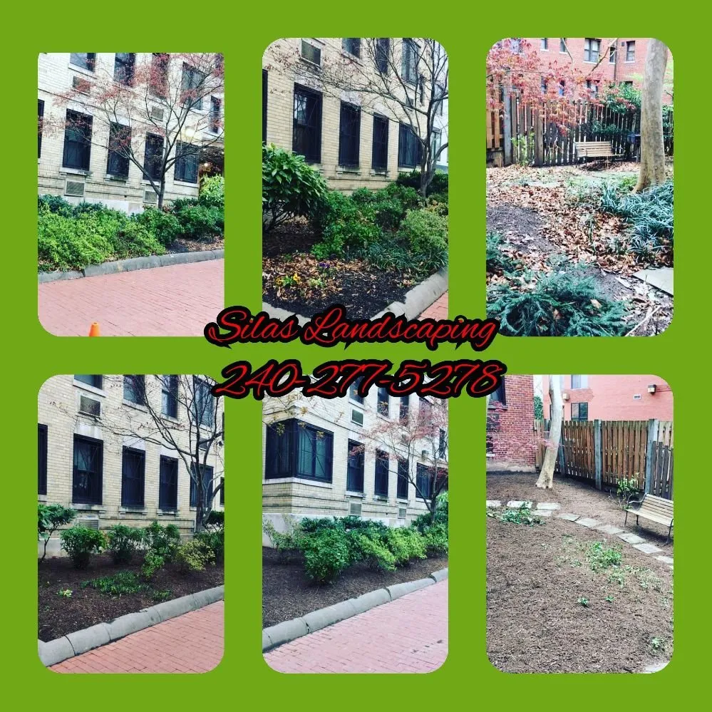 Expert landscape design in Rockville, MD - Silas Landscaping & Cleaning Services