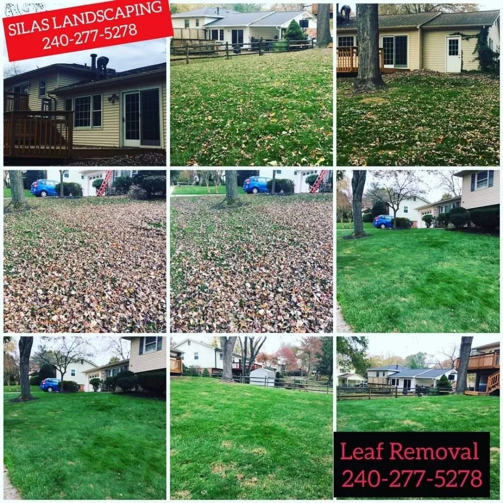 Trusted landscaping services in Rockville, MD by Silas Landscaping & Cleaning Services