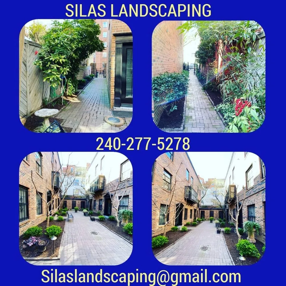 Expert landscape design experts serving Rockville, MD - Silas Landscaping & Cleaning Services