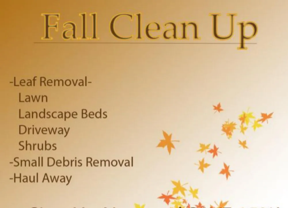 Professional yard cleanup service for year-round maintenance across Rockville, MD - Silas Landscaping & Cleaning Services