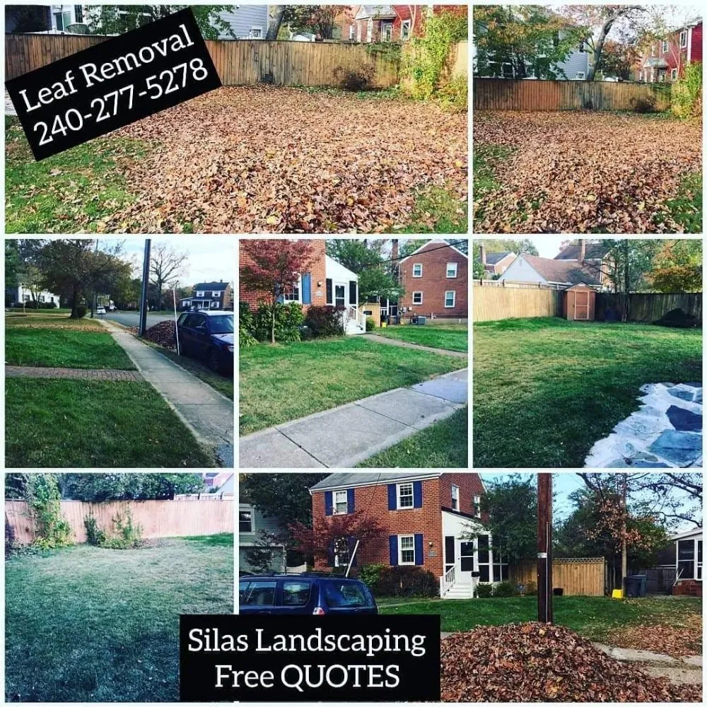 Professional garden landscaping in Rockville, MD by Silas Landscaping & Cleaning Services