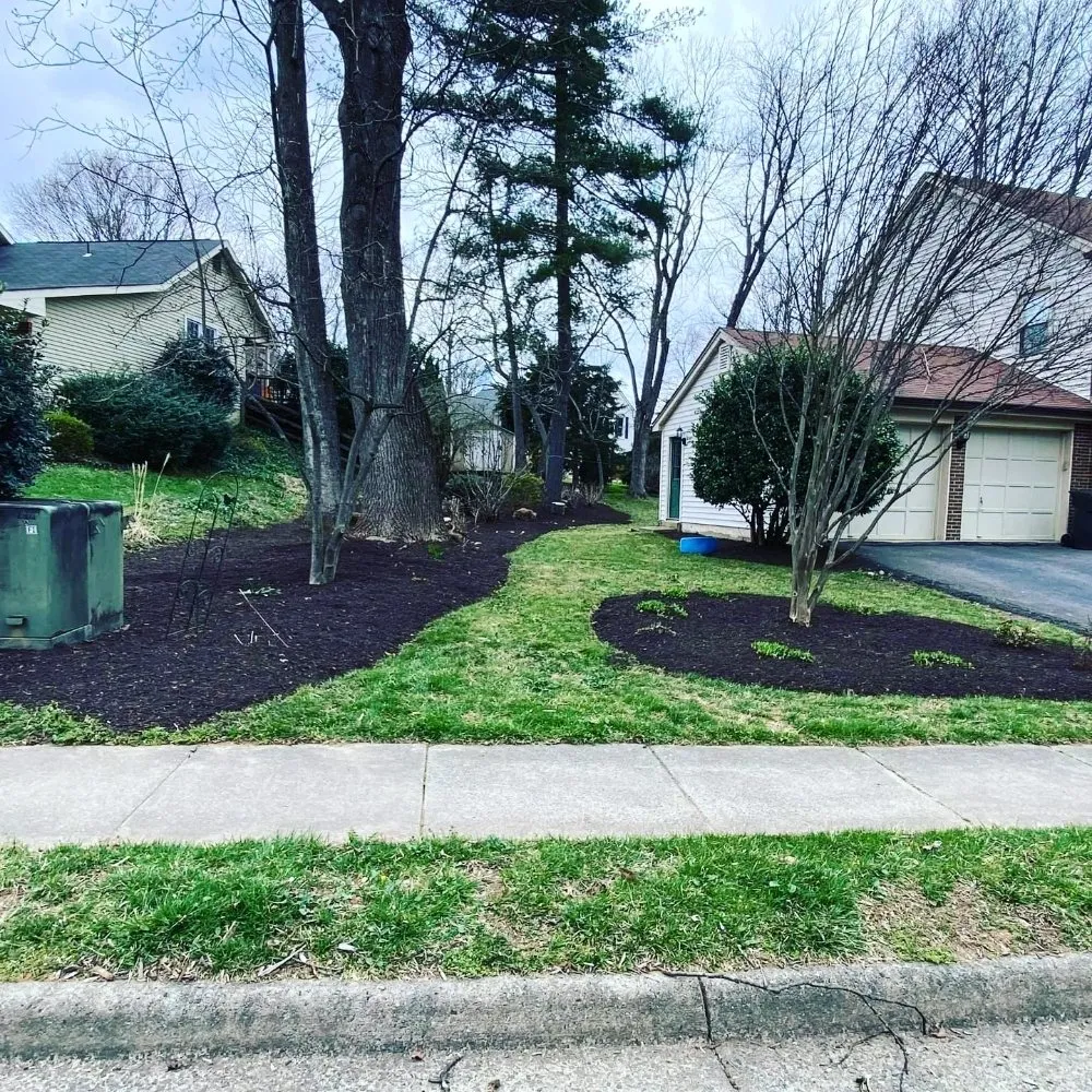 Top-rated outdoor landscaping for year-round maintenance across Rockville, MD - Silas Landscaping & Cleaning Services