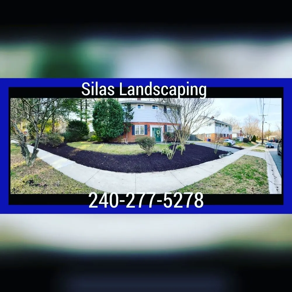 Local yard maintenance for outdoor upgrades in Rockville, MD by Silas Landscaping & Cleaning Services