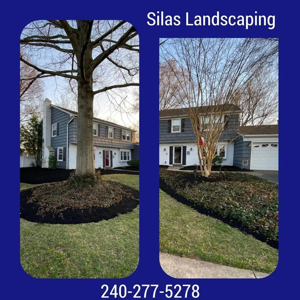 Custom outdoor landscaping for residential properties across Rockville, MD - Silas Landscaping & Cleaning Services