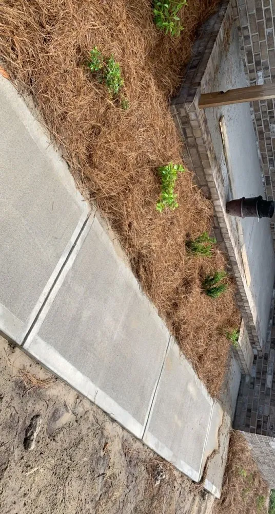 Reliable residential landscaping in Augusta, GA by Silas Landscaping