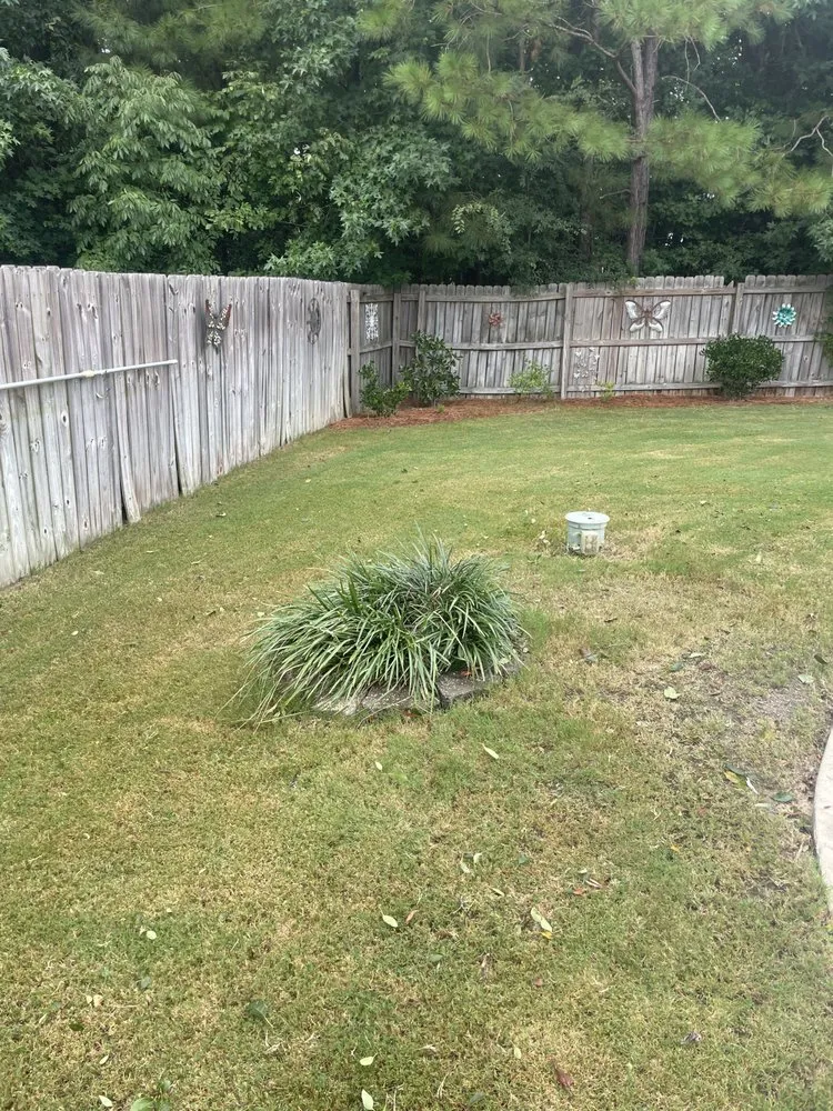 Trusted garden landscaping for year-round maintenance in Augusta, GA by Silas Landscaping