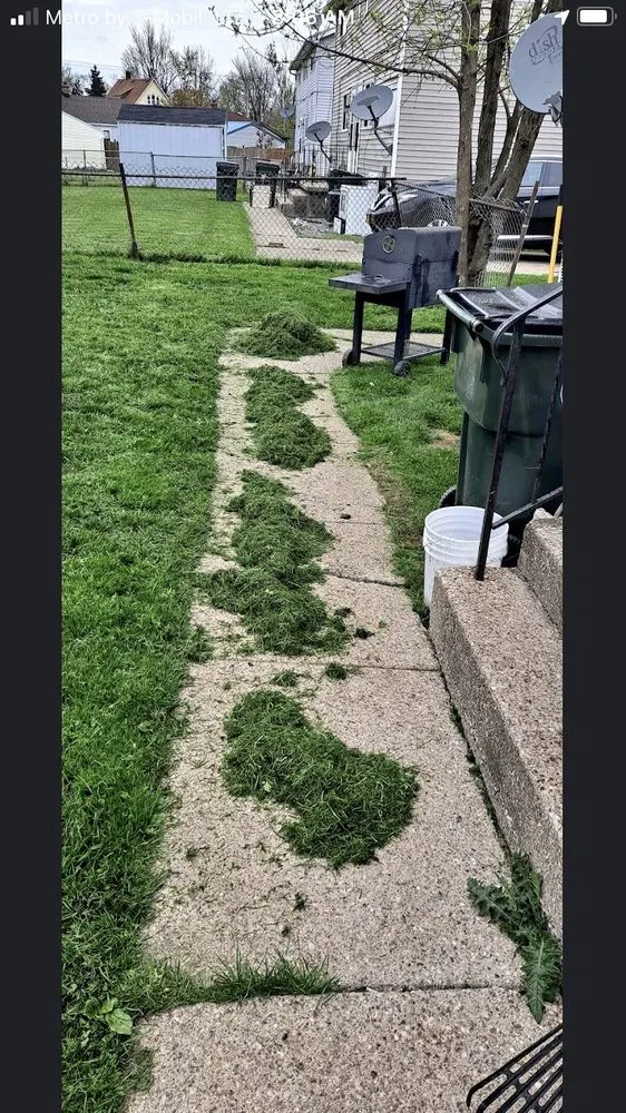 Custom lawn mowing service for beautiful yards across Buffalo, NY - Silbak Plowing & Landscaping