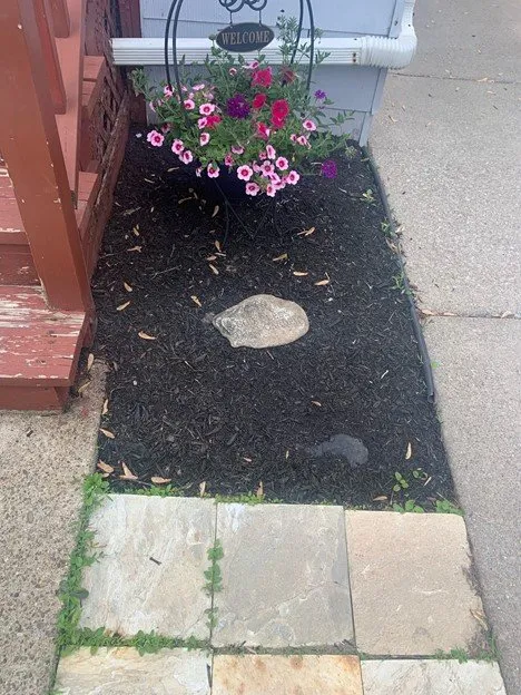 Trusted yard cleanup service in Buffalo, NY - Silbak Plowing & Landscaping