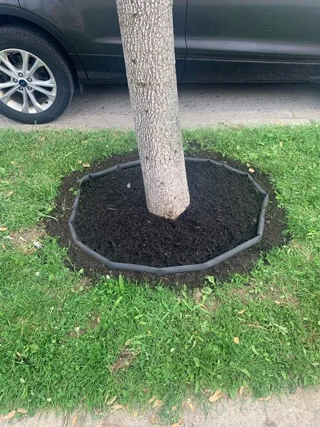 Custom landscaping services for beautiful yards across Buffalo, NY - Silbak Plowing & Landscaping