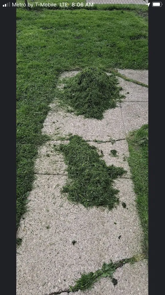 Expert residential landscaping for residential properties in Buffalo, NY by Silbak Plowing & Landscaping