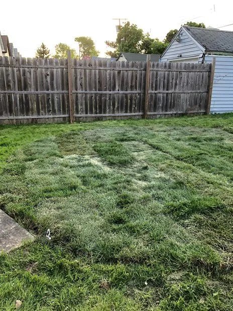 Professional residential landscaping experts serving Buffalo, NY - Silbak Plowing & Landscaping