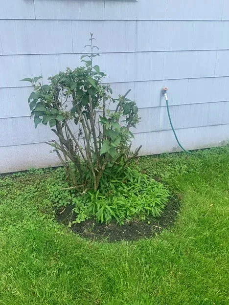 Top-rated landscaping services in Buffalo, NY - Silbak Plowing & Landscaping