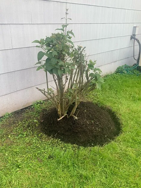 Trusted outdoor landscaping experts serving Buffalo, NY - Silbak Plowing & Landscaping