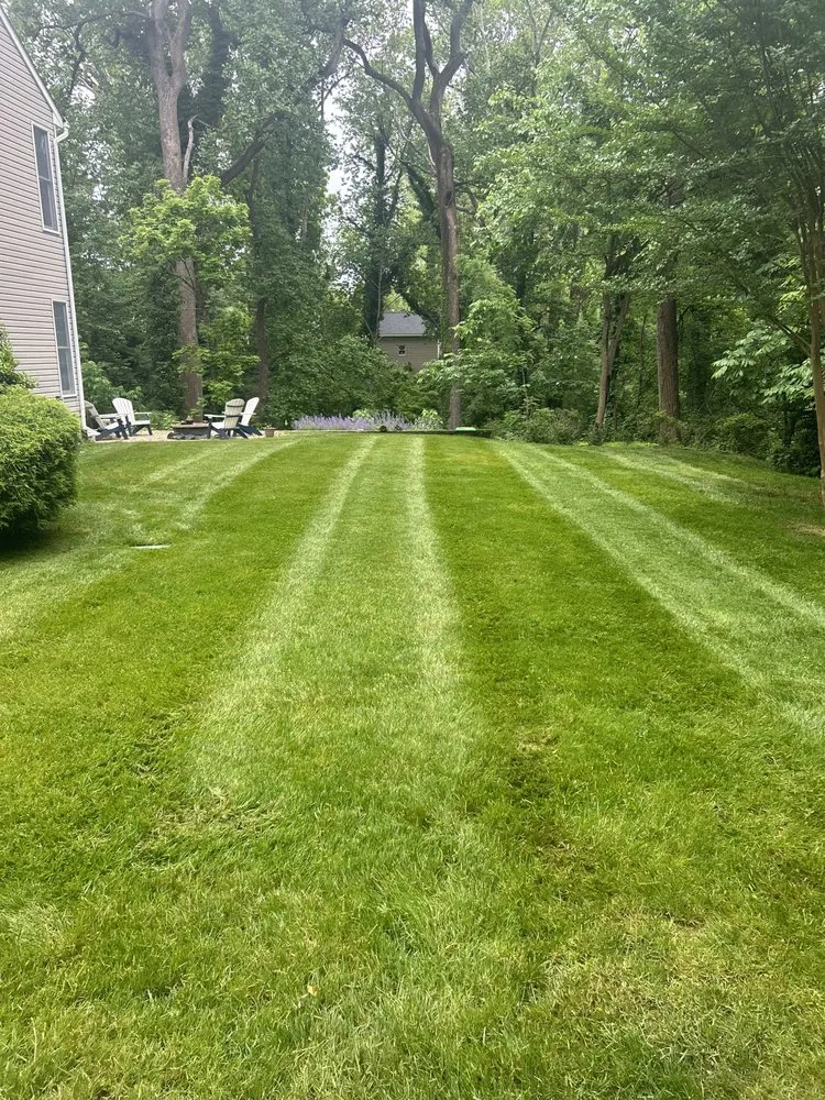 Custom landscape design experts serving Odenton, MD - Silburn Lawn and Landscaping