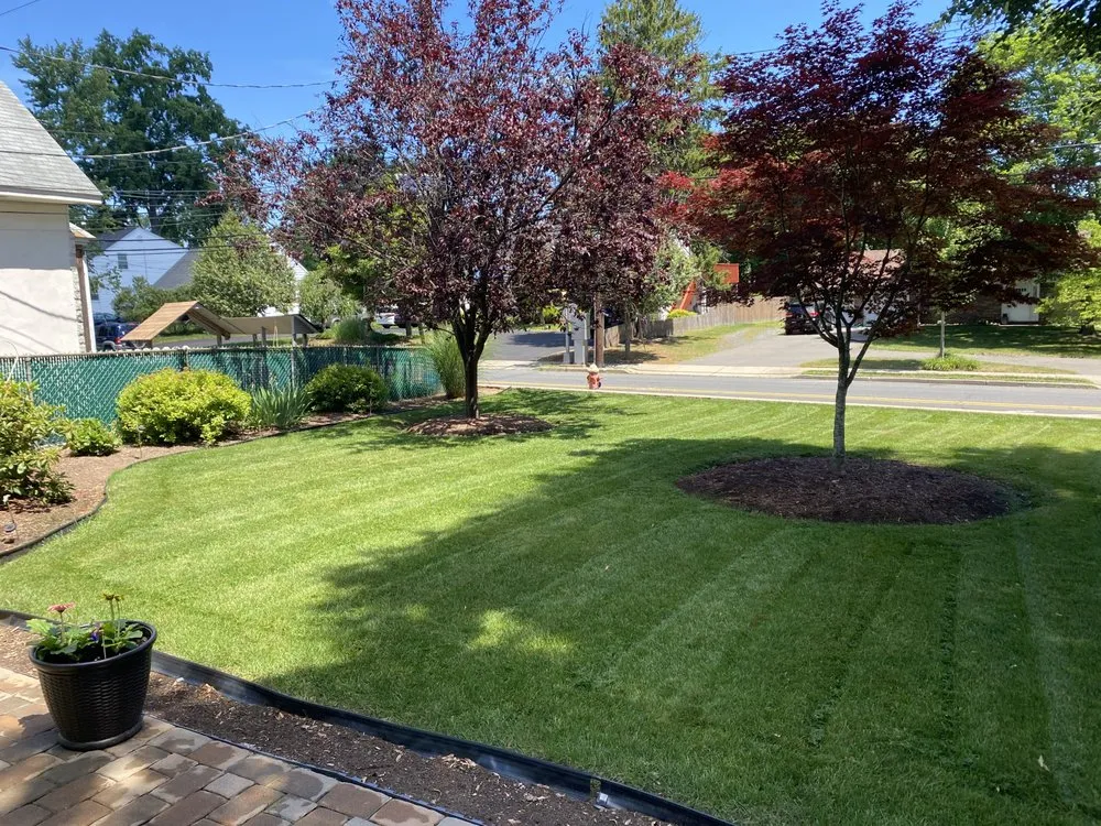 Custom landscaping services for beautiful yards in Saddle Brook, NJ by Sileem's Landscaping & Powerwashing