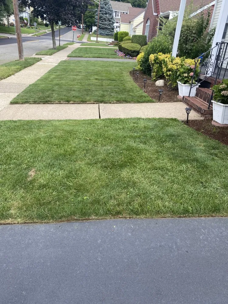 Reliable lawn care service in Saddle Brook, NJ by Sileem's Landscaping & Powerwashing