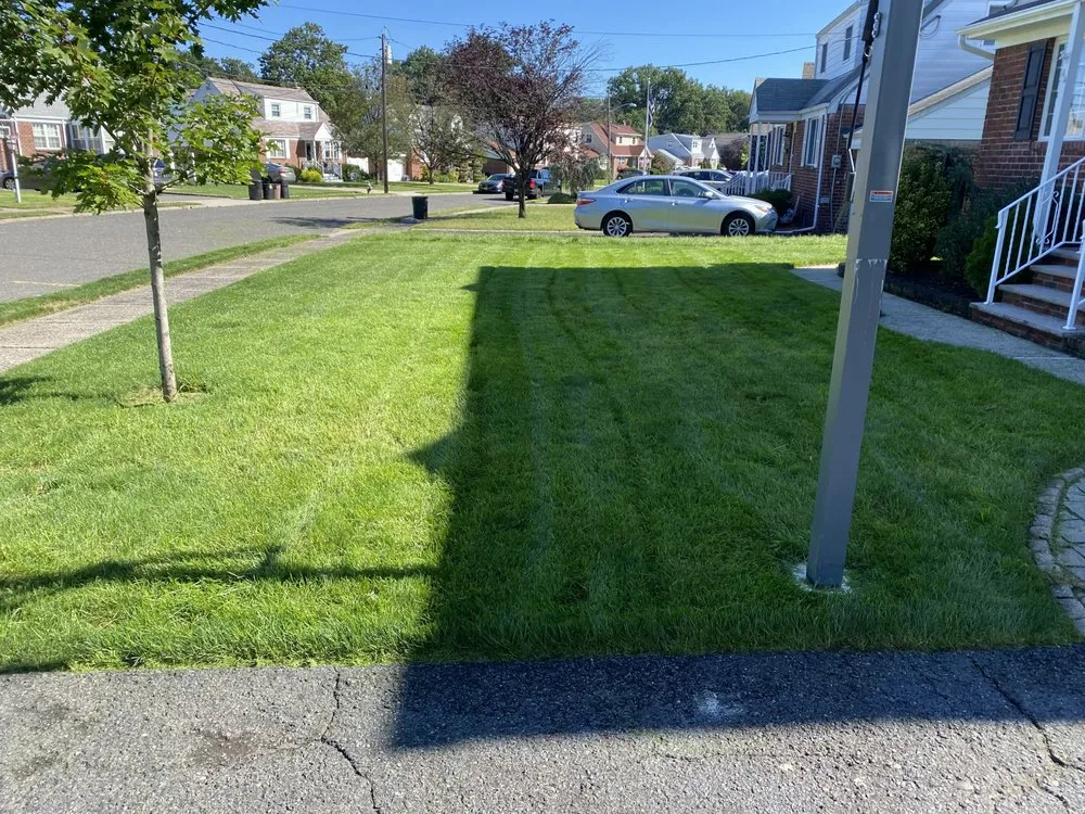 Custom yard cleanup service in Saddle Brook, NJ - Sileem's Landscaping & Powerwashing