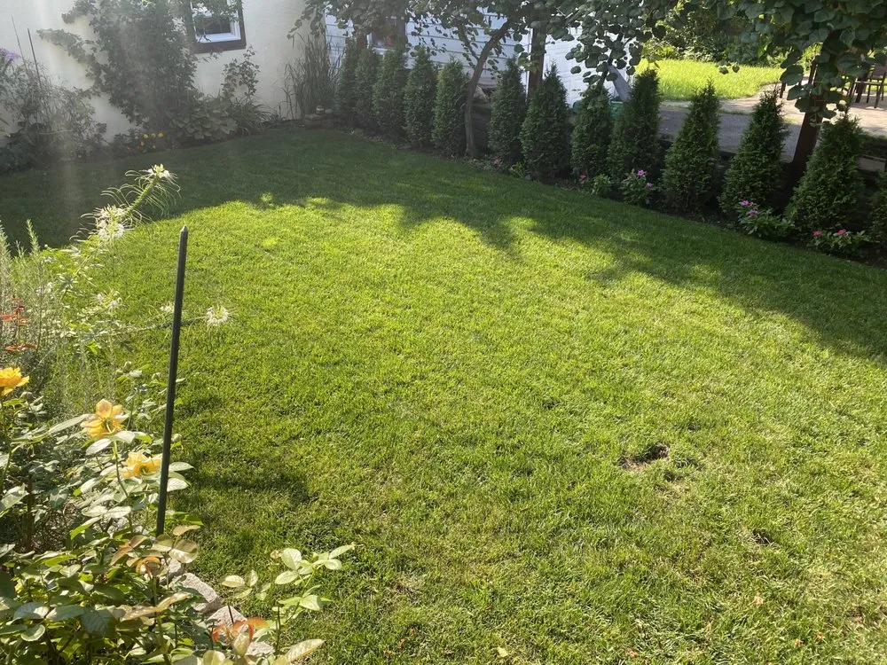 Affordable landscape installation in Saddle Brook, NJ by Sileem's Landscaping & Powerwashing