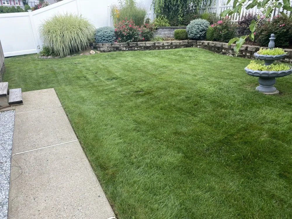 Reliable yard cleanup service near you in Saddle Brook, NJ by Sileem's Landscaping & Powerwashing
