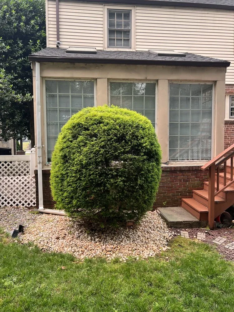 Custom residential landscaping experts serving Saddle Brook, NJ - Sileem's Landscaping & Powerwashing