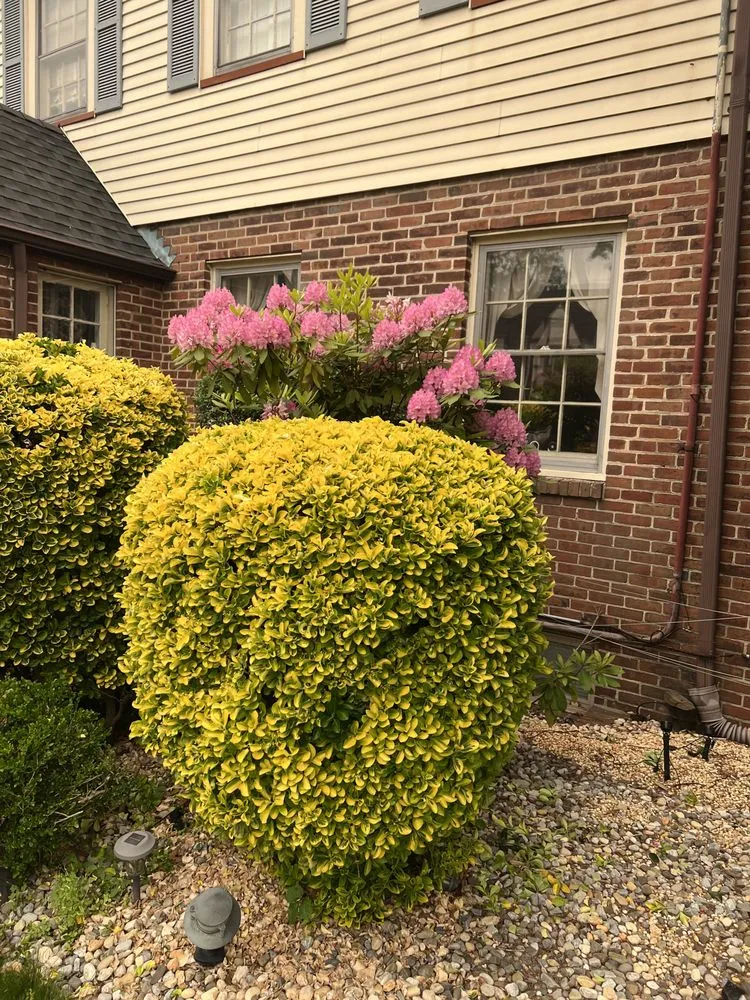 Reliable lawn mowing service in Saddle Brook, NJ - Sileem's Landscaping & Powerwashing