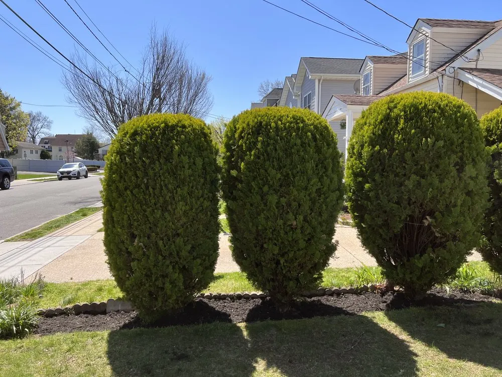 Top-rated yard cleanup service for beautiful yards in Saddle Brook, NJ by Sileem's Landscaping & Powerwashing