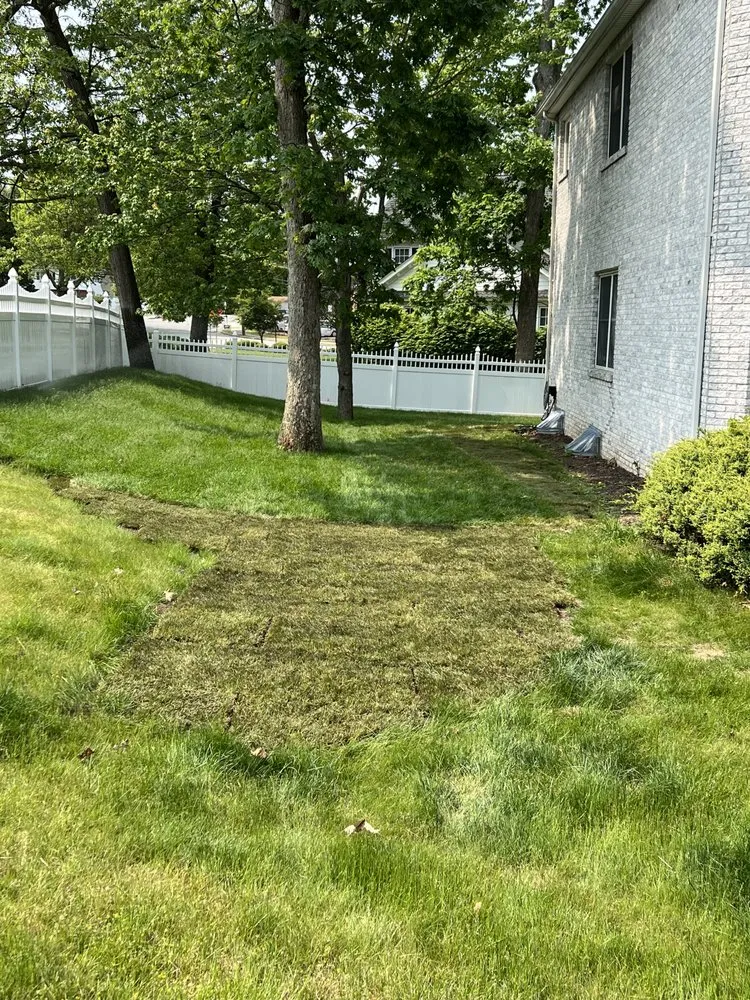 Reliable lawn mowing service with custom design in Saddle Brook, NJ by Sileem's Landscaping & Powerwashing