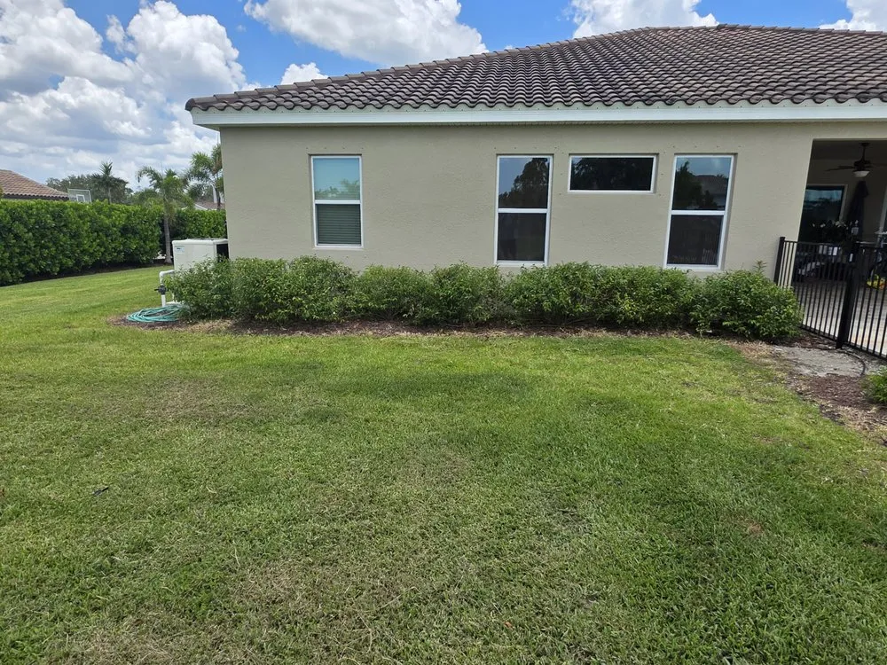 Affordable landscaping services experts serving Sarasota, FL - Silent Shade Landscaping