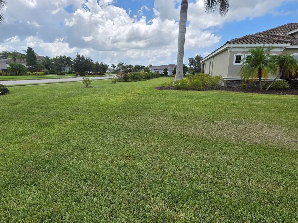 Professional yard maintenance experts serving Sarasota, FL - Silent Shade Landscaping