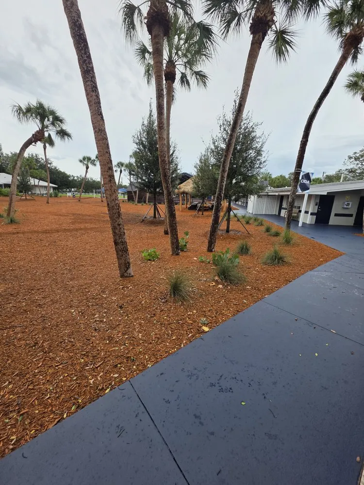 Top-rated yard cleanup service in Sarasota, FL - Silent Shade Landscaping
